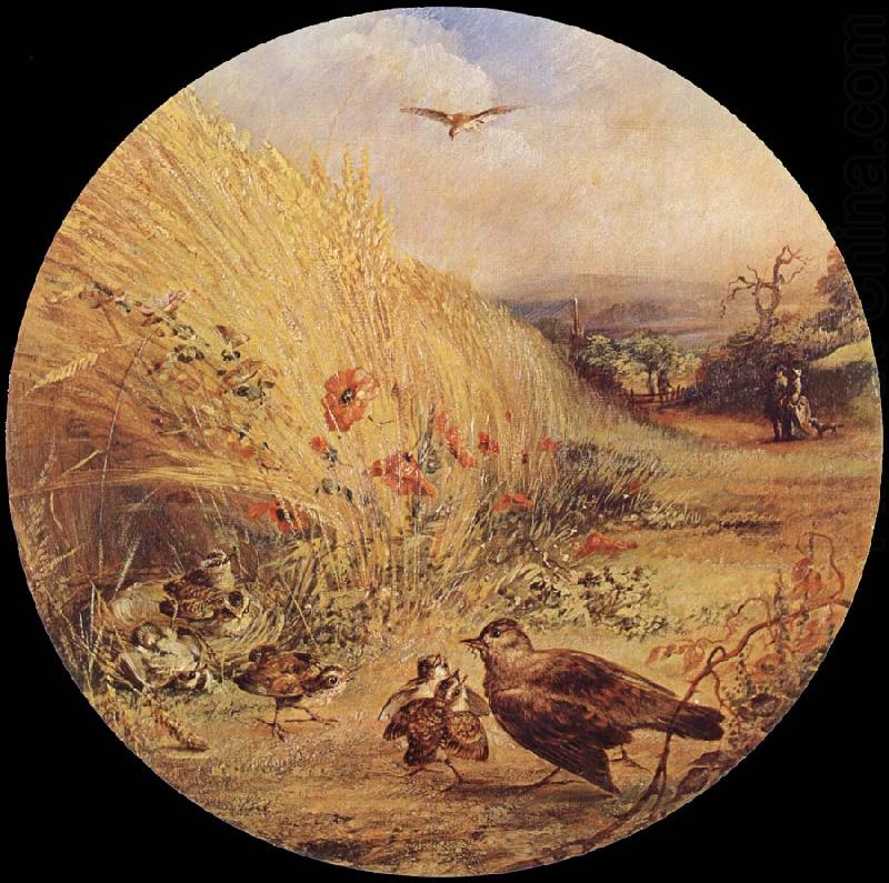 William Dexter Wheatfield with bird-s nest oil painting picture